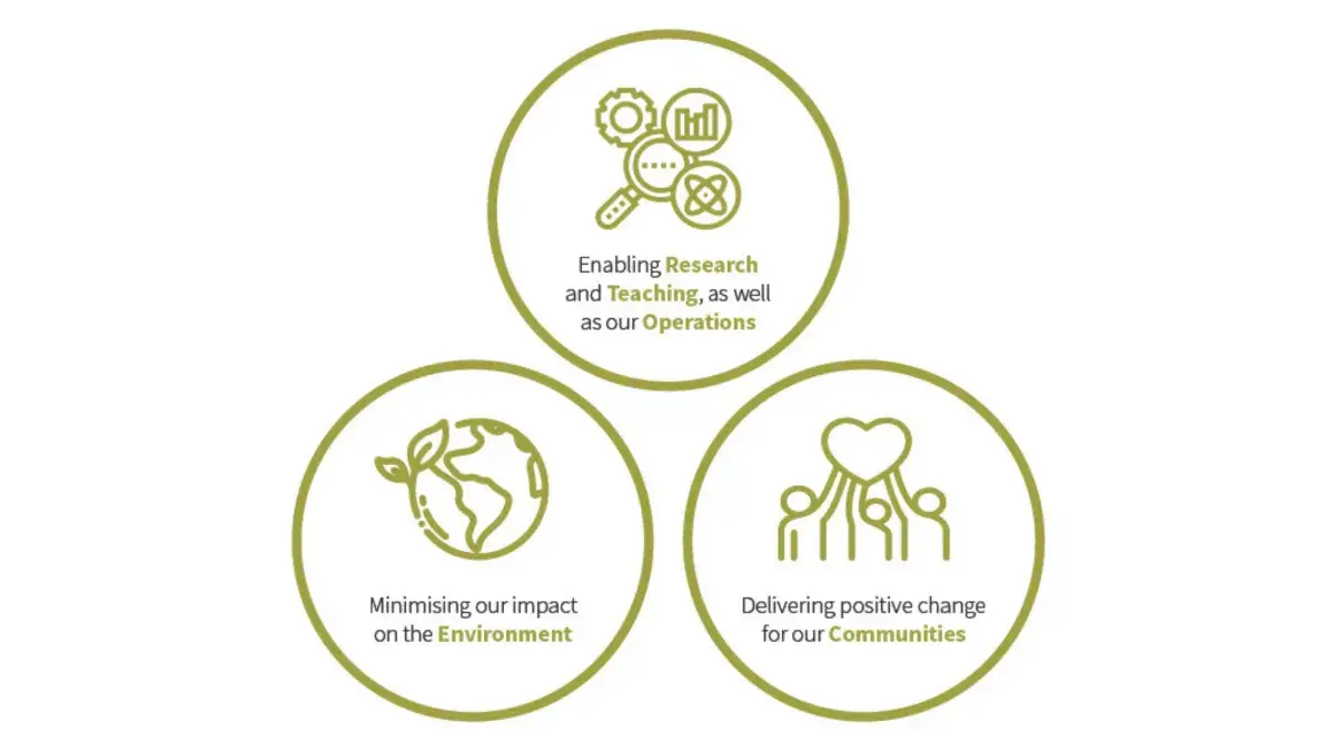 Strategy themes 